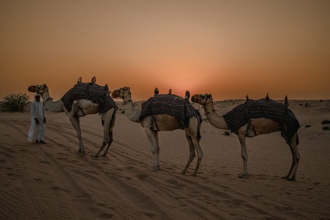 Deluxe Sunset Desert Safari: SandSurfing, Camel Ride & BBQ dinner - Pickup in a six-seat 4x4
