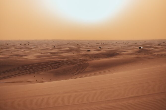 Deluxe Sunset Desert Safari: SandSurfing, Camel Ride & BBQ dinner - Sandboarding and the sunset photo stop