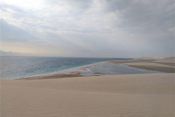 Desert Combo safari, Camel ride, Quad Bike and Dune Bashing(ALL INCLUSIVE) - The inland sea and the value of the setting