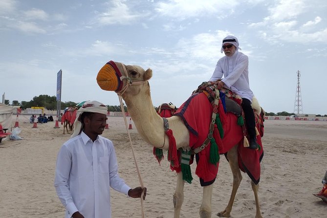 Desert Combo safari, Camel ride, Quad Bike and Dune Bashing(ALL INCLUSIVE) - Guides, vehicles, and group size