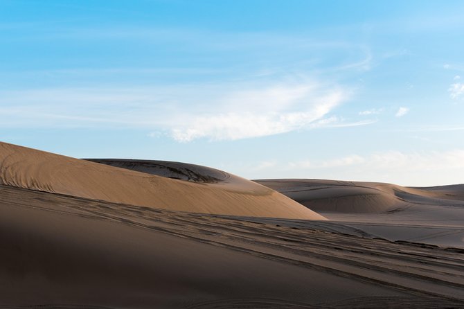 Desert Combo safari, Camel ride, Quad Bike and Dune Bashing(ALL INCLUSIVE) - Is the $100 price fair?