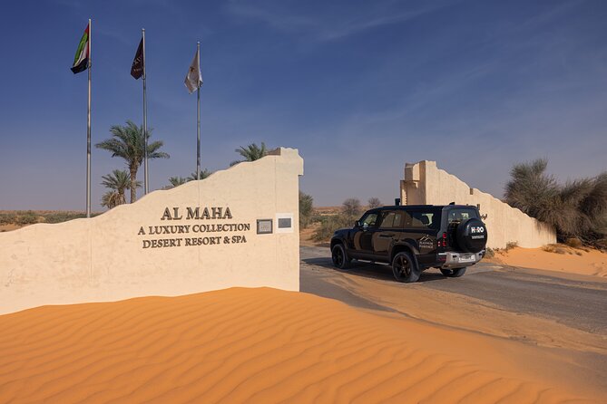 Desert Conservation Wildlife Drive & Breakfast at Al Maha Resort - How this compares with dune bashing