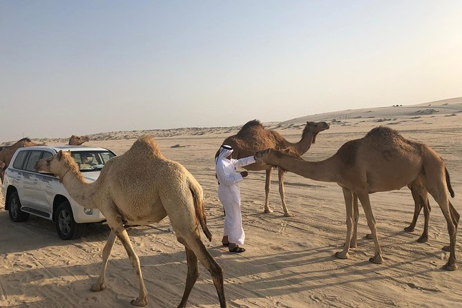 Desert Safari 7 Hours Tour with Dinner and Camp - What the guides add to the day