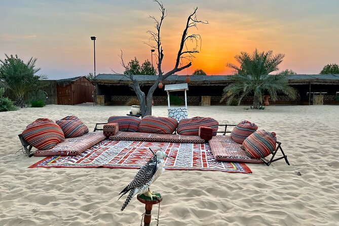 Desert Safari Abu Dhabi w/ Sand Boarding, Camel Ride & BBQ Dinner - Who will enjoy this desert safari most?