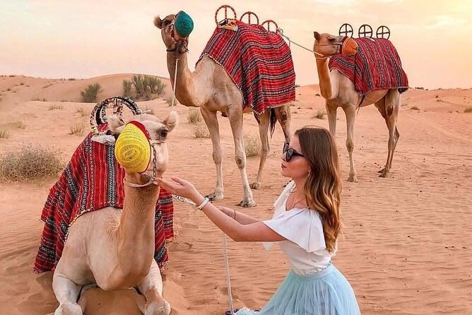 Desert Safari Adventure Dubai - Arabic coffee, henna, and a welcoming camp