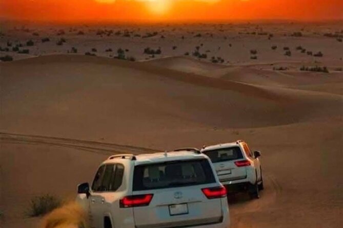 Desert Safari Adventure Dubai - Who will enjoy this safari most