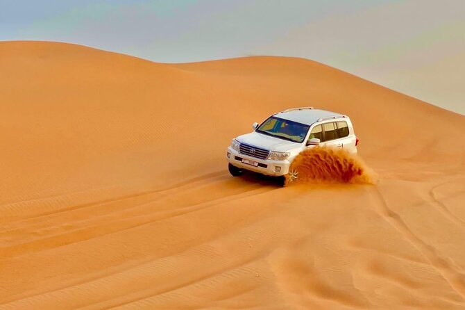 Desert safari adventure with BBQ dinner - BBQ dinner and the timing question