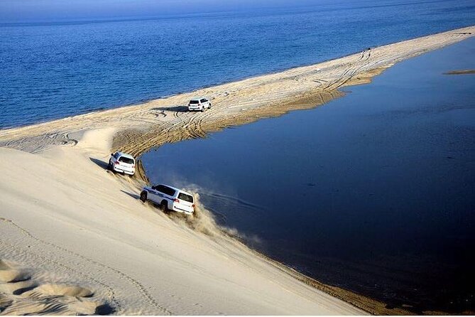 Desert Safari and Inland Sea(Private Tour) - Mesaieed beach, camels, falcons, and tea
