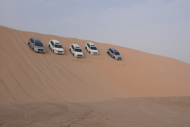 Desert Safari and Inland Sea(Private Tour) - Should you book this private desert safari?