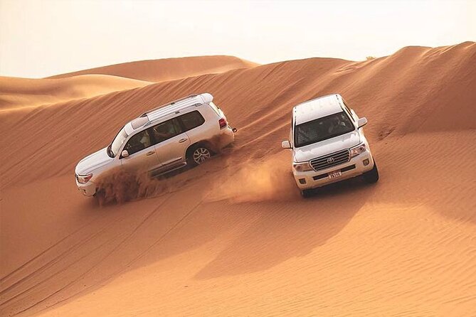 Desert Safari and Quad Bike Experience in Dubai with Dinner - Key points to know before booking