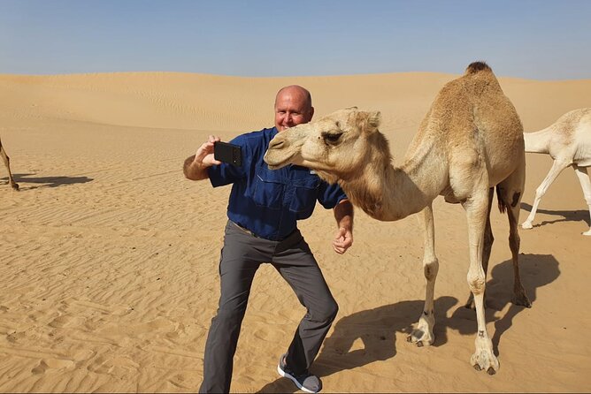 Desert Safari BBQ dinner, Camel ride & sandboarding from Dubai - Sunset turns the adventure into an evening show