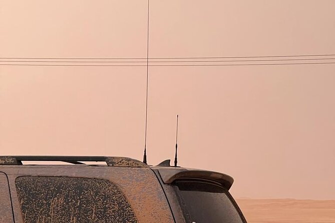 Desert Safari BBQ Dinner, Live Shows, ATV Bikes, Sandboarding - Quick points before you book