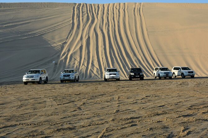 Desert Safari, Camel ride and Inland Sea Tour - The private format and guide experience