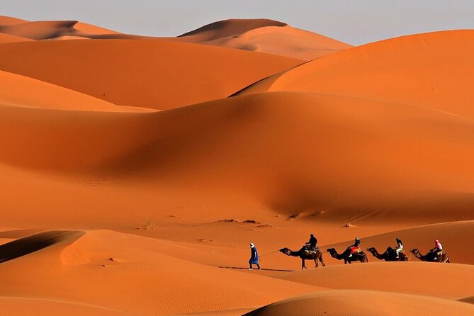 Desert Safari Dubai BBQ Dinner & Live Shows - Guide service can shape the whole evening