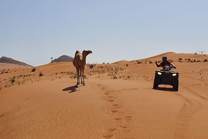 Desert Safari Dubai (PREMIUM VIP) - Guide quality can make or break the day