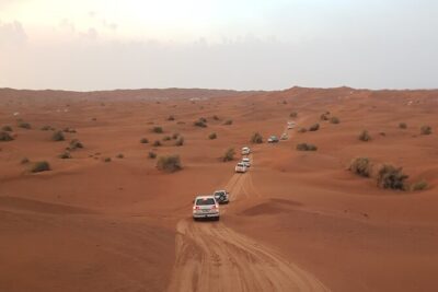 Desert Safari Dubai & Quad Bike with Dinner