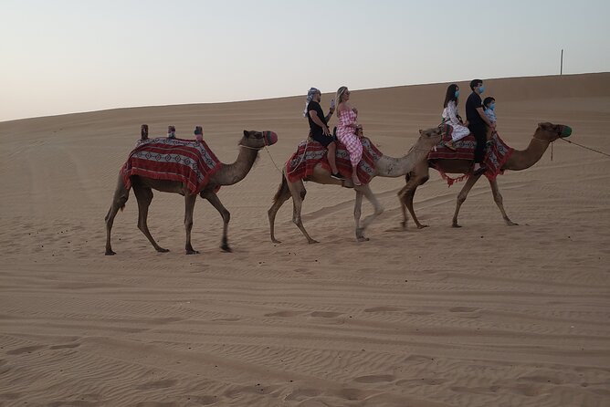 Desert Safari Dubai with Buffet Dinner & 3 live shows - Sandboarding and a possible sunset stop