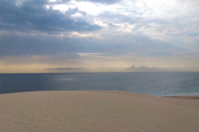 Desert safari, Dune bashing, sandboarding, camel, ATV Option - What the $46.55 price really buys you