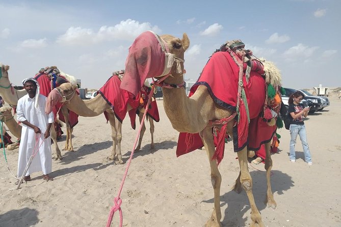 Desert safari, Dune bashing, sandboarding, camel, ATV Option - Sandboarding gives you a hands-on desert activity