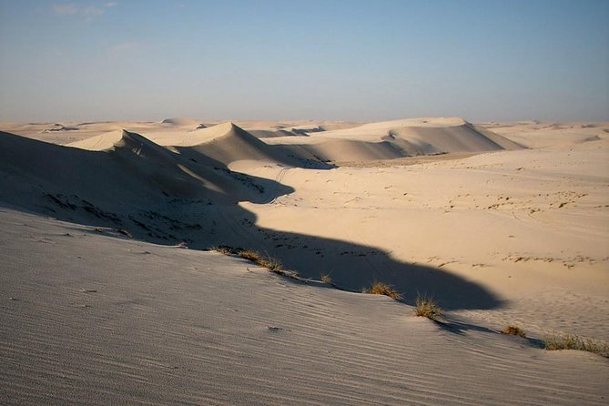 Desert safari, Dune bashing, sandboarding, camel, ATV Option - Khor Al Adaid is the quiet visual finish