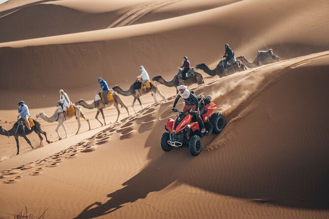 Desert Safari Qatar - Karak, Coffee, and a Bedouin Majlis