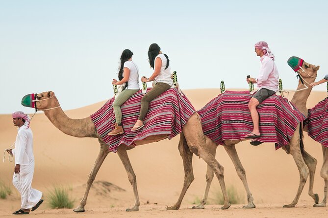 Desert Safari Qatar - The Camel-Riding Detail You Should Clarify