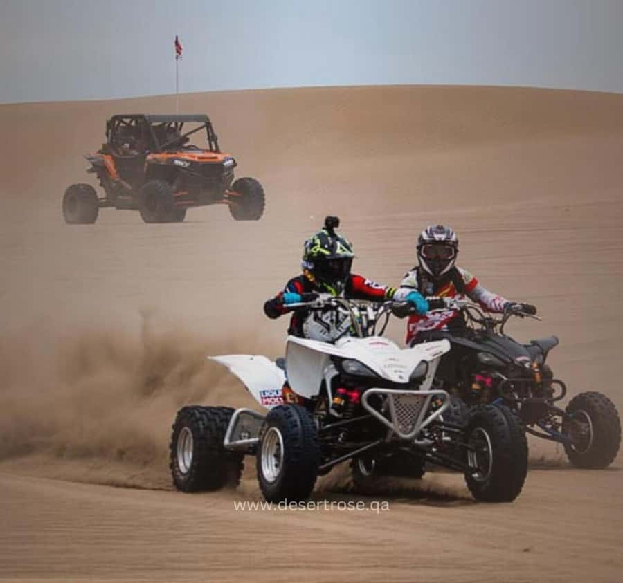 Desert Safari, Quad Bike, Camel Ride, Falcon & Sandboarding - From Doha to the Mesaieed desert
