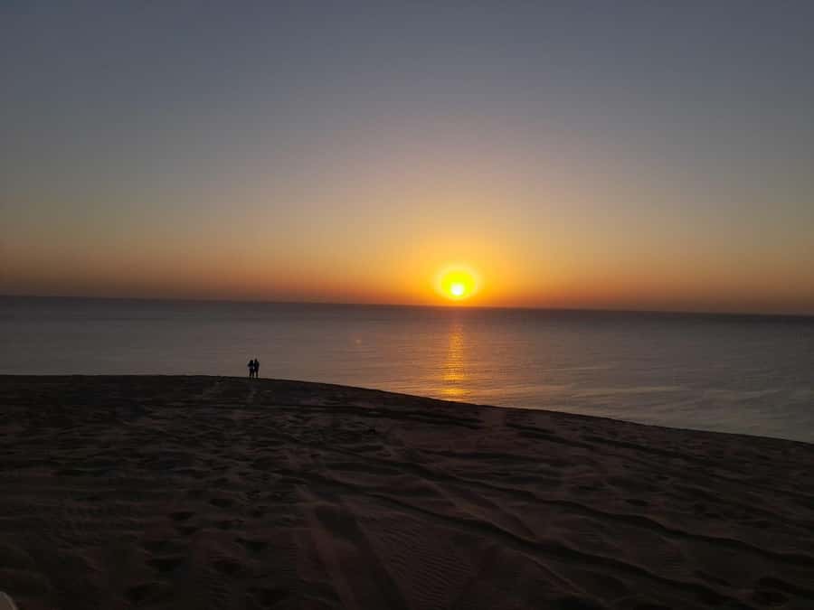 Desert Safari, Quad Bike, Camel Ride, Falcon & Sandboarding - Guides, comfort, and practical preparation