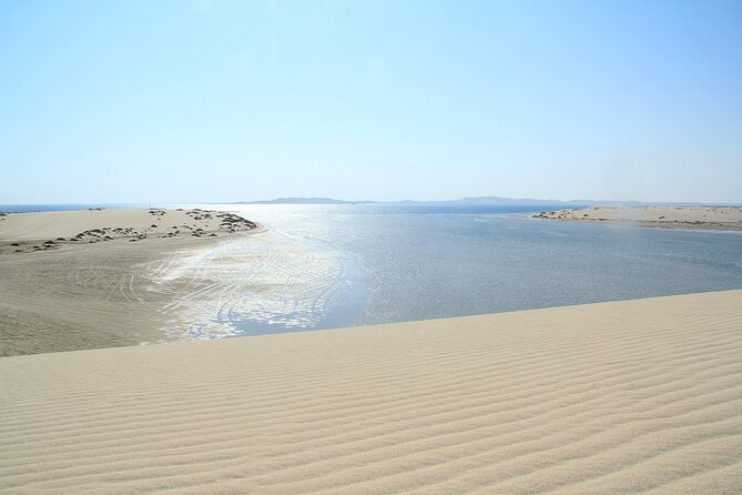 Desert Safari, Quad Bike, Sandboarding and Camel Ride - Timing, Comfort, and What to Bring