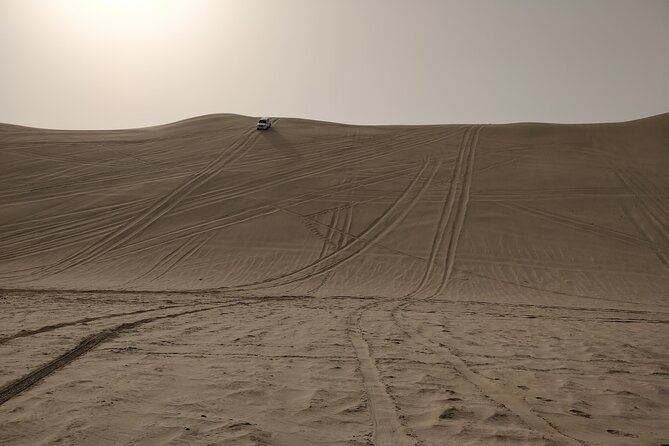 Desert Safari, Quad Bike, Sandboarding and Camel Ride - Who Should Book This Doha Safari?