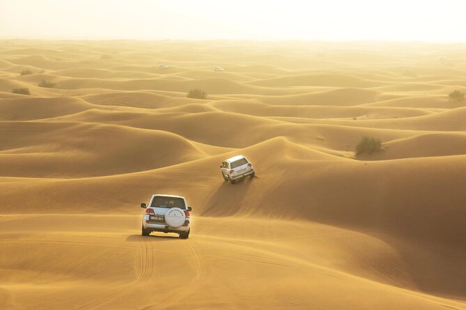Desert Safari, Quad Biking, Sand Surfing and BBQ Dinner In Dubai - Who should book this desert safari?