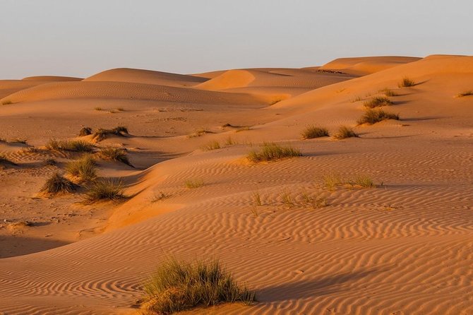 Desert Safari Sharing Tours - Wahiba Sands and the first taste of dune driving