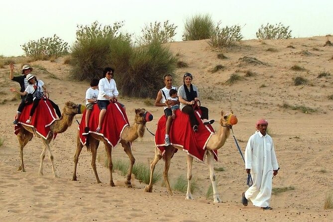 Desert Safari Tour, 6 Hour Fun, Family & Friends, Camel Ride & Dinner Included - The BBQ dinner and evening shows