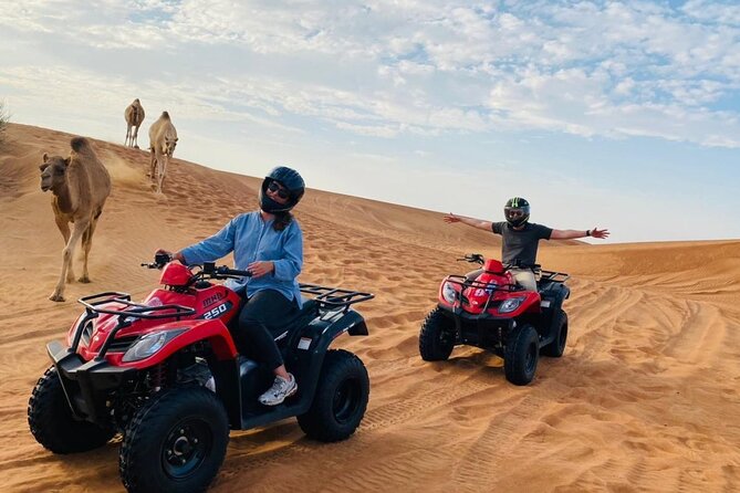 Desert Safari with BBQ Dinner, Camel Ride, Sand Board & Live Show - BBQ buffet dinner and evening entertainment