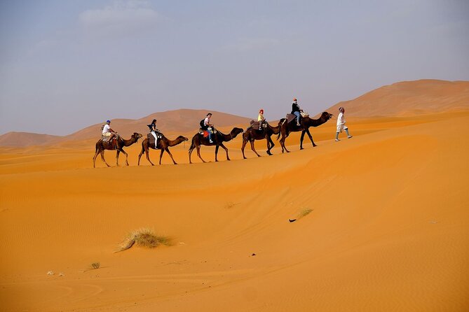Desert Safari with BBQ Dinner from Dubai - What $63 buys you