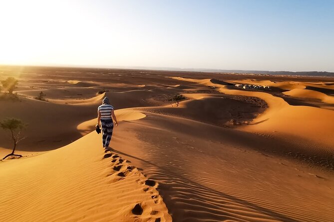 Desert Safari With BBQ Dinner, Quad Ride And And Sand-boarding - Dune bashing with a careful 4x4 driver