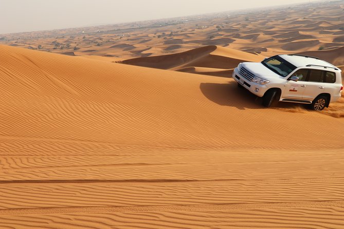 Desert Safari with BBQ Dinner (Sharing/Private) - Sandboarding and the camel farm stop