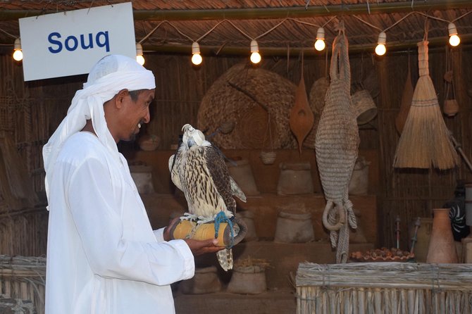 Desert Safari with BBQ Dinner - UAE Must Do - Is $175 a fair price?