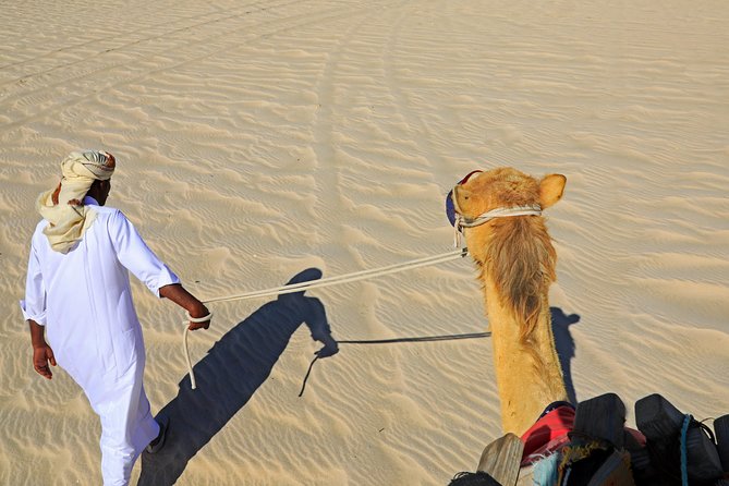 Desert Safari with Camel Ride, Sand Boarding & Inland Sea Tour in Doha - Dune bashing in the Land Cruiser