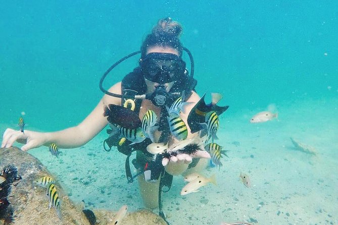 Discover Scuba Diving in Dubai - Underwater Photos Without an Extra Charge