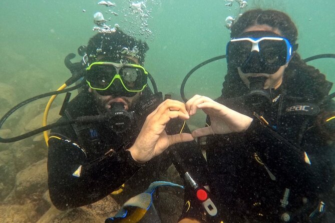 Discovery Scuba Diving in Dubai - Key points to know before booking