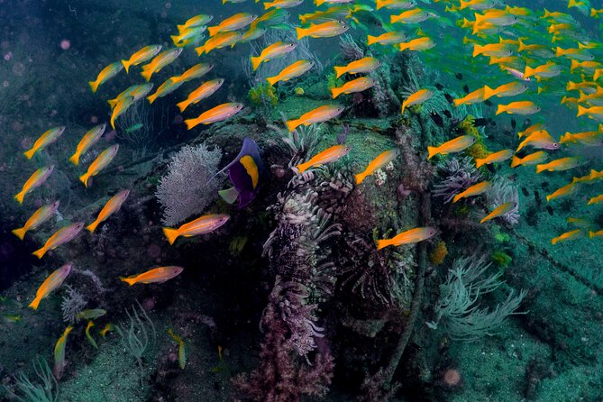 Dive trip to the coral reefs of Fujairah for certified scuba divers - Preparing at Le Meridien Beach Resort