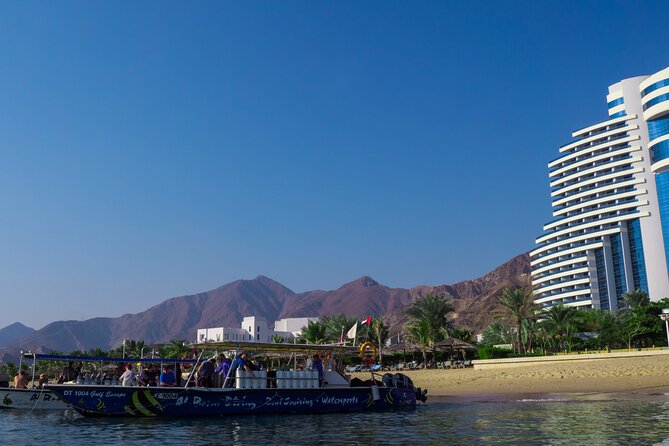 Dive trip to the coral reefs of Fujairah for certified scuba divers - Coral reefs, turtles, and the chance of sharks