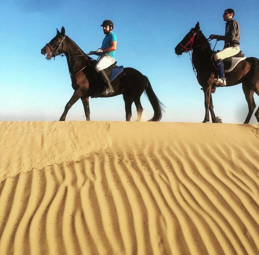 Doha : Arabian Horse Ride Experience With Pickup & Drop Off - Riding through Qatar’s silent sands