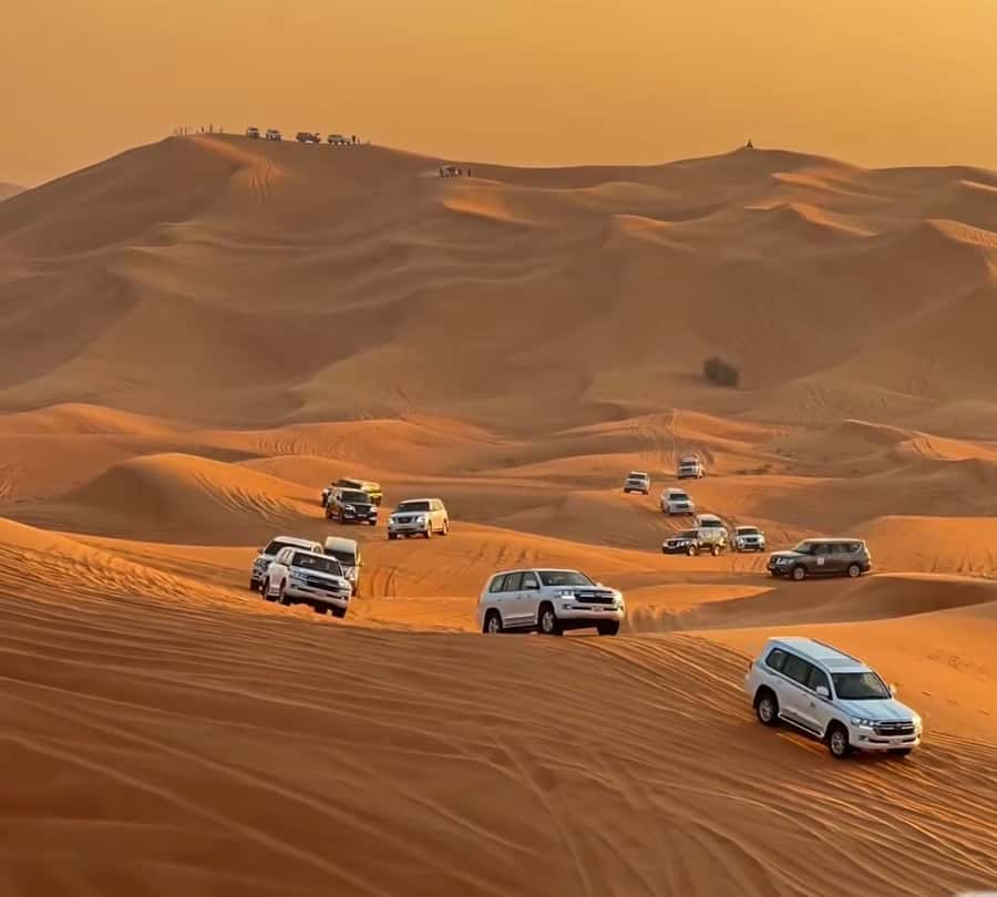 Doha : Arabian Horse Ride Experience With Pickup & Drop Off - What the guide’s role adds