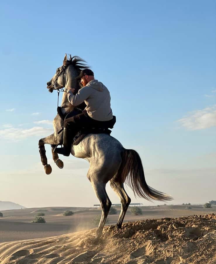 Doha : Arabian Horse Ride Experience With Pickup & Drop Off - How the price compares with the experience