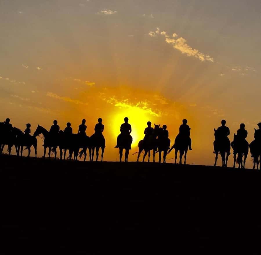 Doha : Arabian Horse Ride Experience With Pickup & Drop Off - Who will enjoy this horse ride most