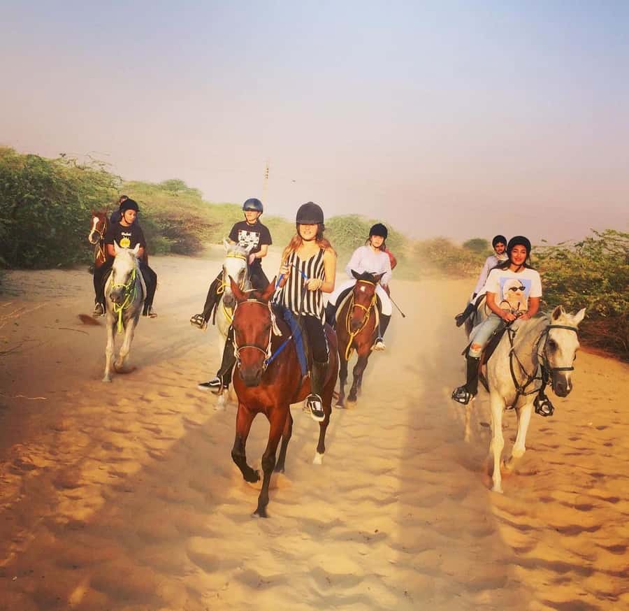 Doha : Arabian Horse Ride Experience With Pickup & Drop Off - Meeting your horse and learning the basics