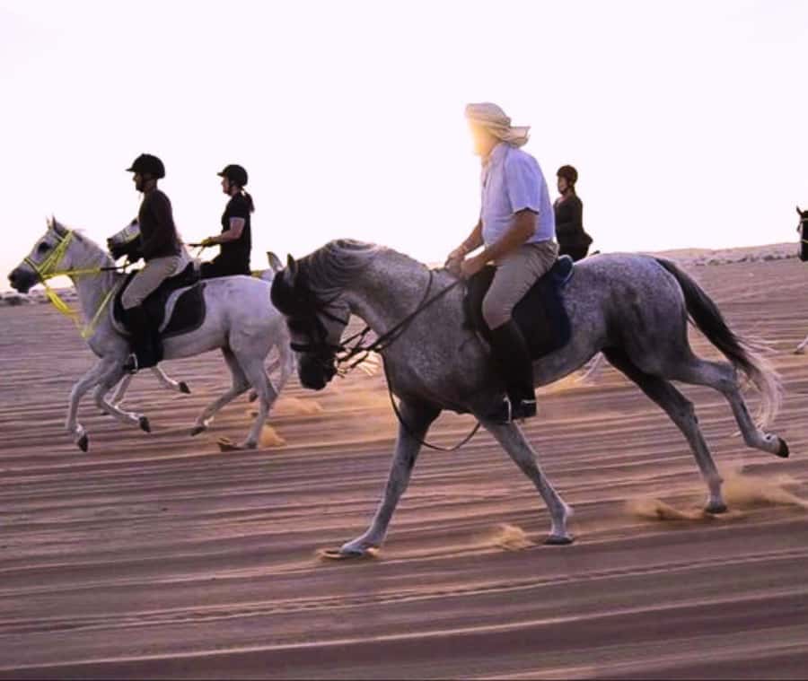 Doha: Arabian Horse Riding Experience –Sea or Desert Options - Best for a private first ride or a short desert adventure