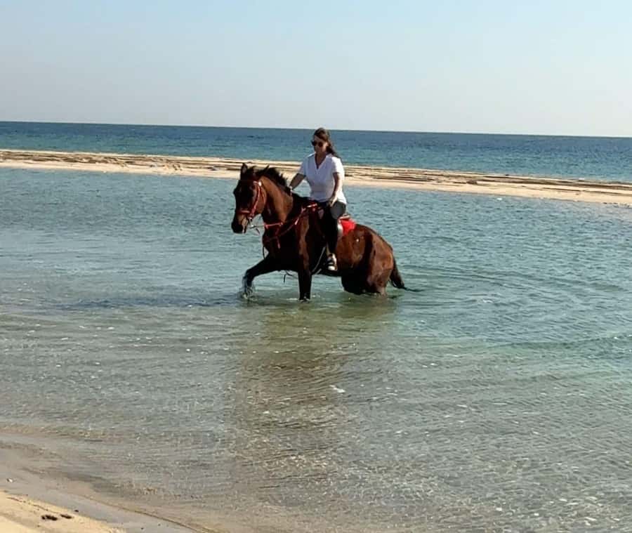 Doha: Arabian Horse Riding Experience –Sea or Desert Options - Two Arabian riding settings, two different moods
